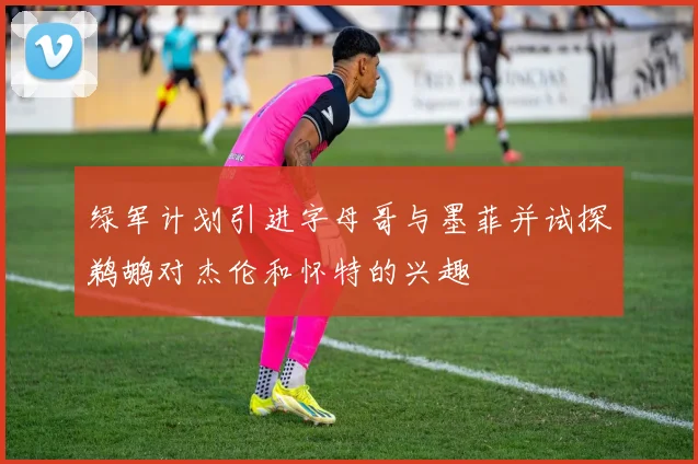 绿军计划引进字母哥与墨菲并试探鹈鹕对杰伦和怀特的兴趣