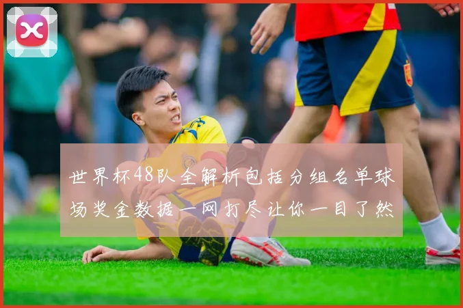 世界杯48队全解析包括分组名单球场奖金数据一网打尽让你一目了然
